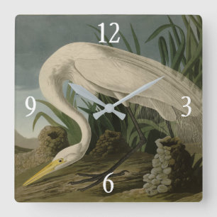 White Heron, Great Egret, Audubon Birds of America Quadratische Wanduhr