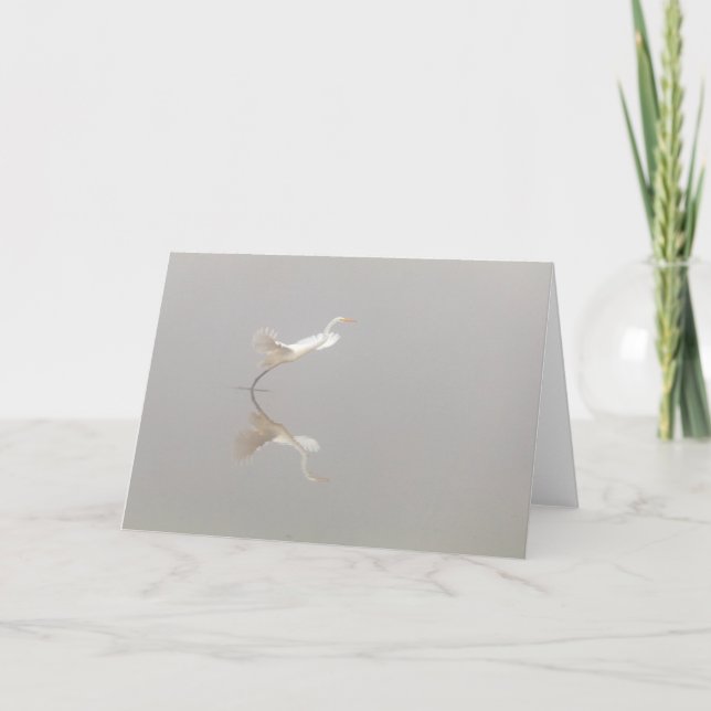 White Heron hebt Zen ab Karte (Vorderseite)