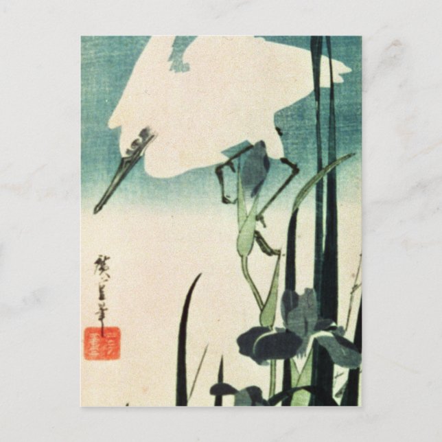 White Heron und Iris Postkarte (Vorderseite)