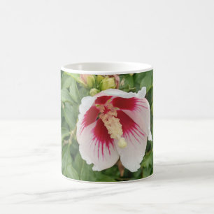 White Hibiskus Kaffee Tasse