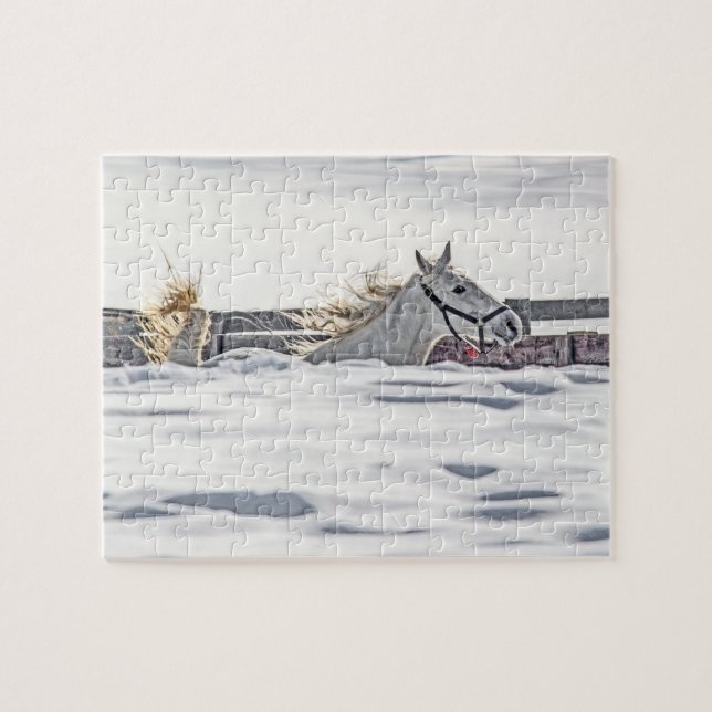 White Horse Galloping In Snow (Horizontal)