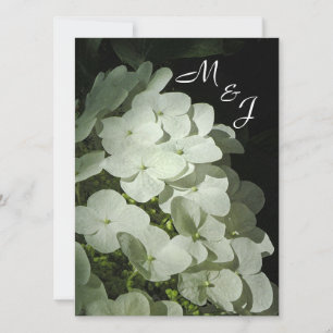 White Hydrangea Hochzeit Einladung