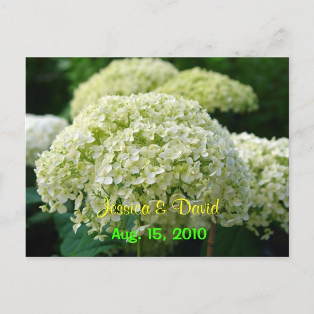 White Hydrangea Save the Date Postcard Ankündigungspostkarte (Vorderseite)
