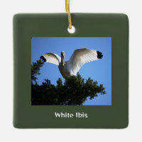 White Ibis Bird Ornament