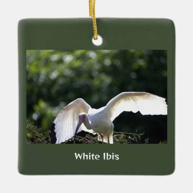 White Ibis Bird Ornament (Vorderseite)