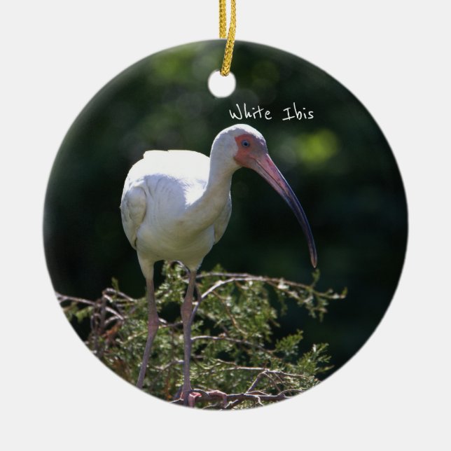 White Ibis Bird Ornament (Vorne)