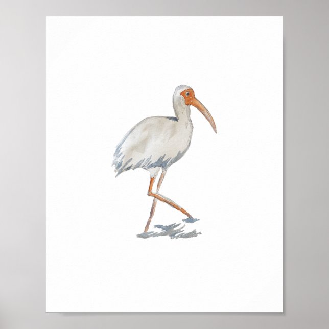 White Ibis Florida Bird Nature Malerei Poster (Vorne)