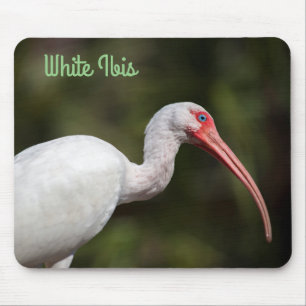 White Ibis Mousepad