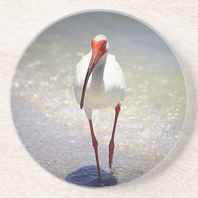 White Ibis Strut Untersetzer (Vorne)