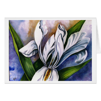 White Iris 2 par Barbara Beck-Azar