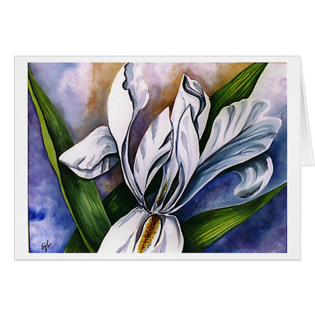 White Iris 2 par Barbara Beck-Azar (Devant horizontal)