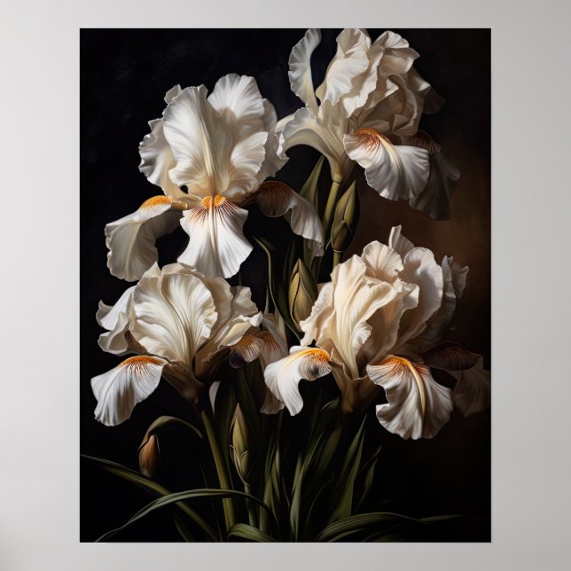White Iris Blume Art Print Poster (Vorne)