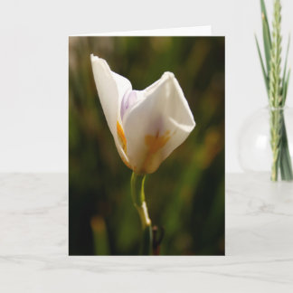 White Iris Blume Grußkarte Ankündigung