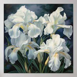 White Irische Blume Art Print Poster
