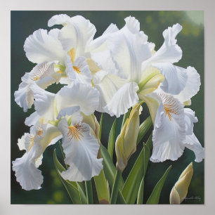 White Irische Blume Art Print Poster