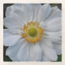 White Japanese Anemone Floral