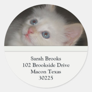 White Kitten Address Labels Runder Aufkleber