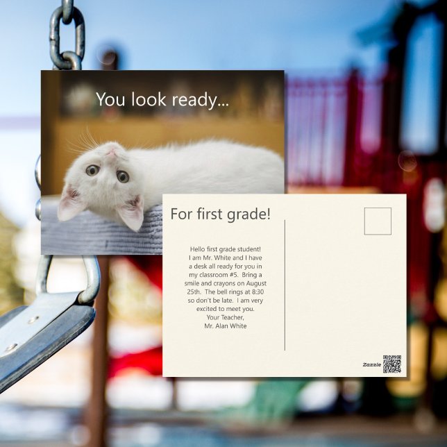 White Kitten Bienvenue Retour aux cartes postales  (Créateur téléchargé)