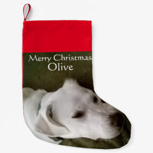 White Labrador Mix Dog Adorable Kleiner Weihnachtsstrumpf