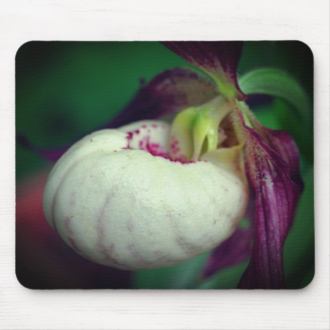 White Lady Slipper Orchid Blume Mousepad (Vorne)