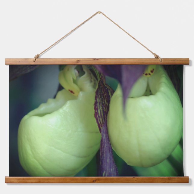 White Lady Slipper Orchid Blume Pair Wandteppich Mit Holzrahmen (Vorne)