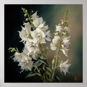 White Larkspur Blume Art Print Poster