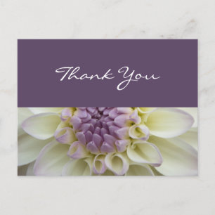 White & Lila Dahlia ・ Vielen Dank Postcard Postkarte