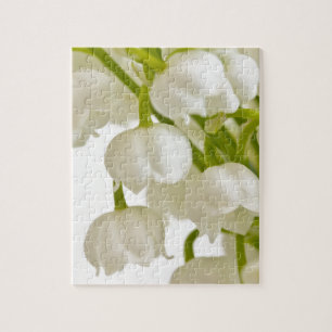 White Lilies