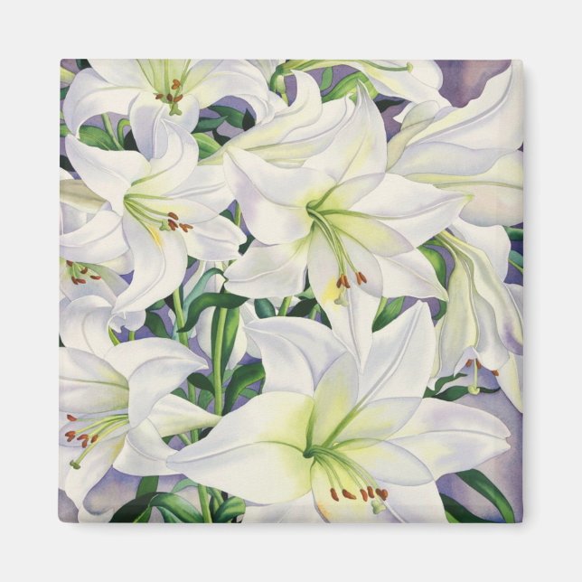 White Lilies 2008 Magnet (Vorne)