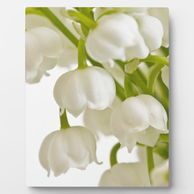 White Lilies Fotoplatte (Vorderseite)