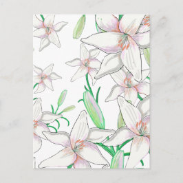 White Lilies Illustration Postkarte