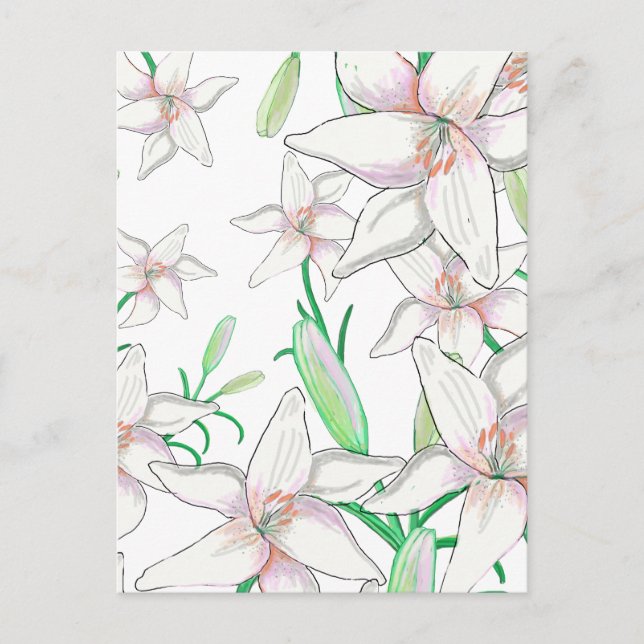 White Lilies Illustration Postkarte (Vorderseite)