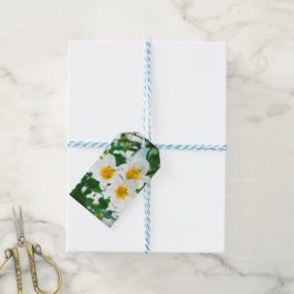 White Lilies - Lily Blume Lilium candidum Geschenkanhänger