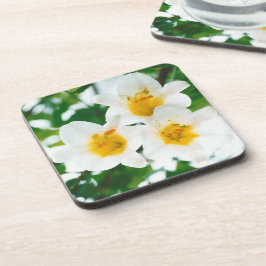 White Lilies - Lily Blume Lilium candidum Getränkeuntersetzer