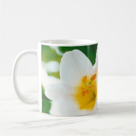White Lilies - Lily Blume Lilium candidum Kaffeetasse