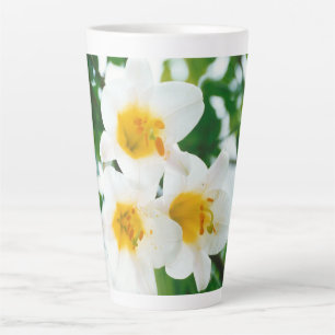 White Lilies - Lily Blume Lilium candidum Milchtasse