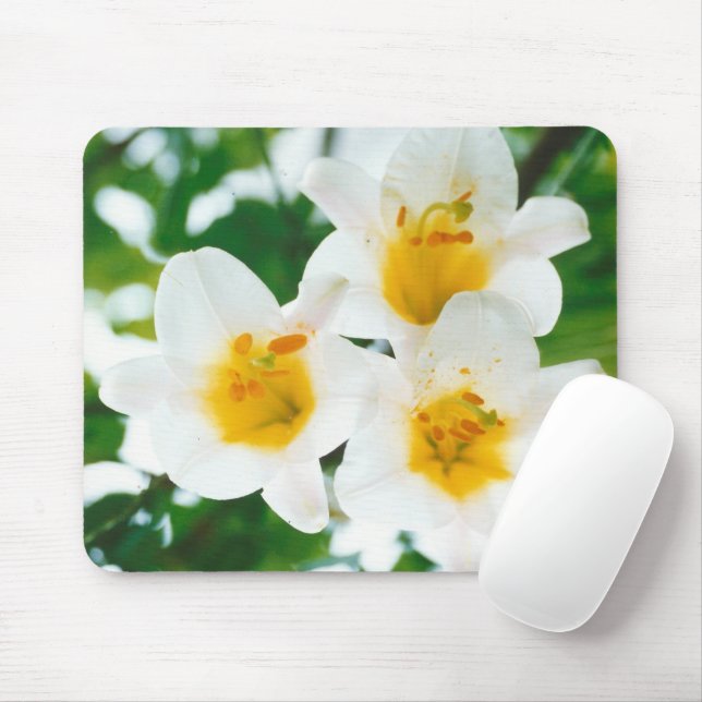 White Lilies - Lily Blume Lilium candidum Mousepad (Mit Mouse)