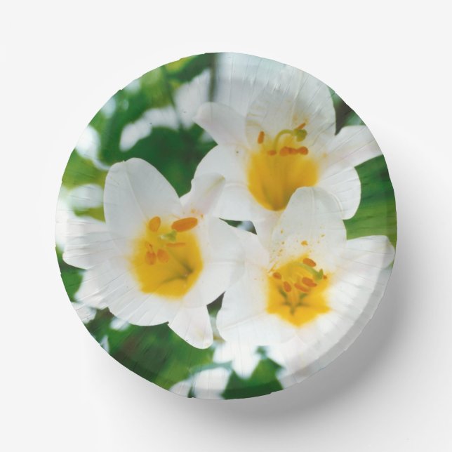 White Lilies - Lily Blume Lilium candidum Pappteller (Vorderseite)