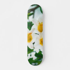 White Lilies - Lily Blume Lilium candidum Skateboard