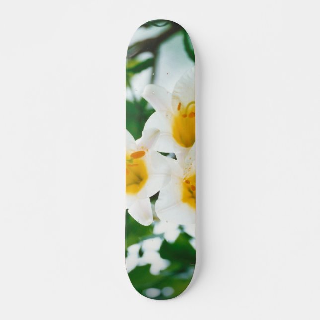 White Lilies - Lily Blume Lilium candidum Skateboard (Vorne)