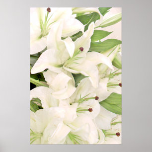 White Lilies_Poster Poster