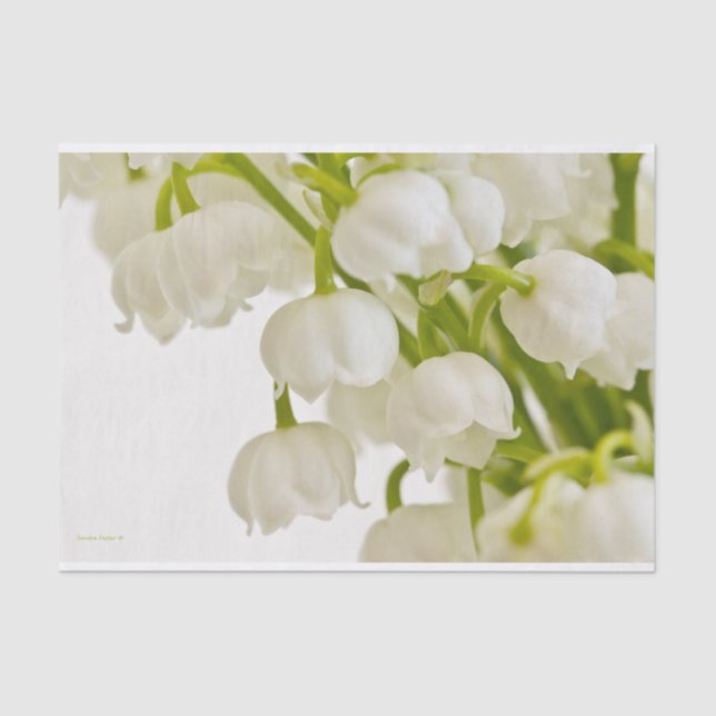 White Lilies Seidenpapier (Vorderseite)