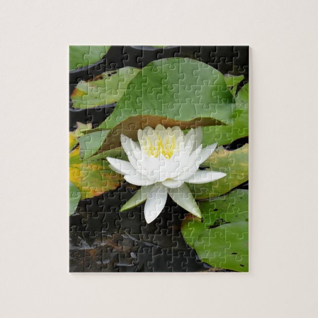 White Lily (Vertikal)