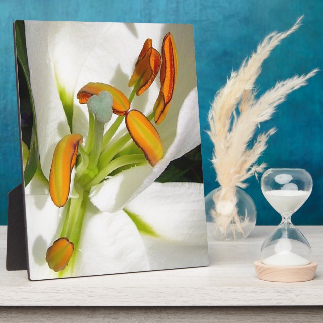 White Lily Fotoplatte (Seite)