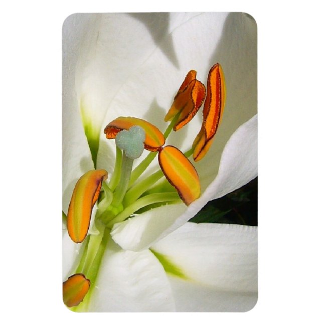 White Lily Magnet (Vertikal)