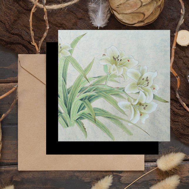 White Lily Magnetkarte (Von Creator hochgeladen)