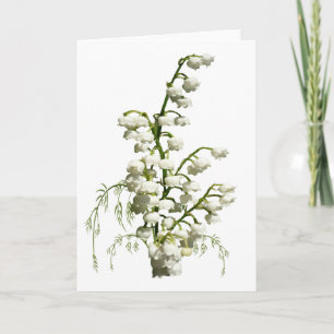 White Lily of the Valley Flowers Karte
