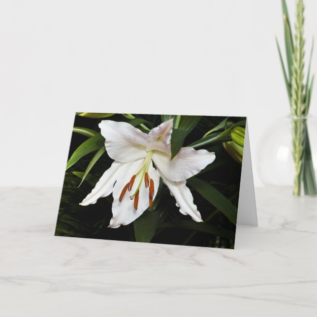 White Lily Sympathy Card Karte (Vorderseite)