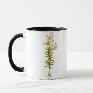White Lily Tasse