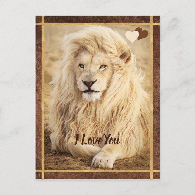 White Lion Foto I Liebe Postkarte (Vorderseite)